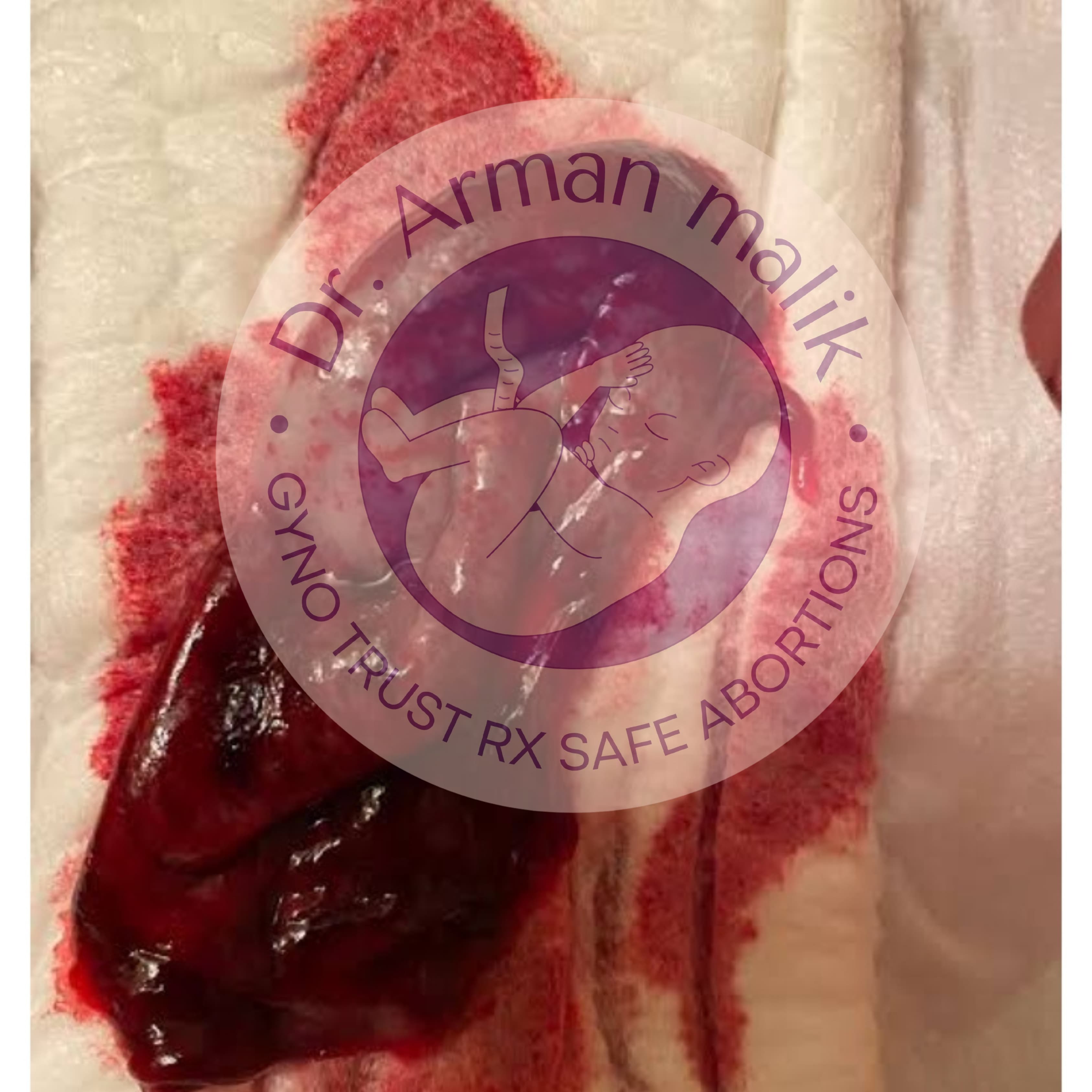 WhatsApp Image 2025-02-24 at 6.48.33 PM (1).jpeg